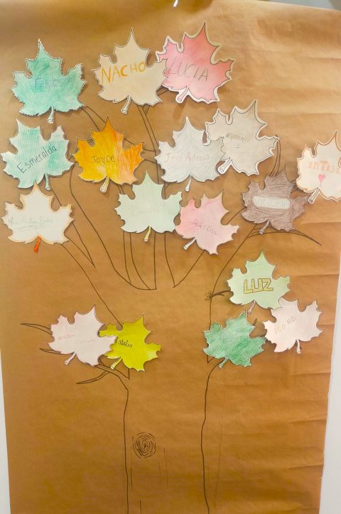 arbol centro de día